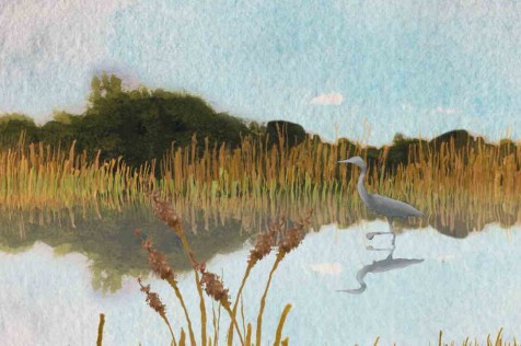 Image with missing alt attribute found on nautil.us