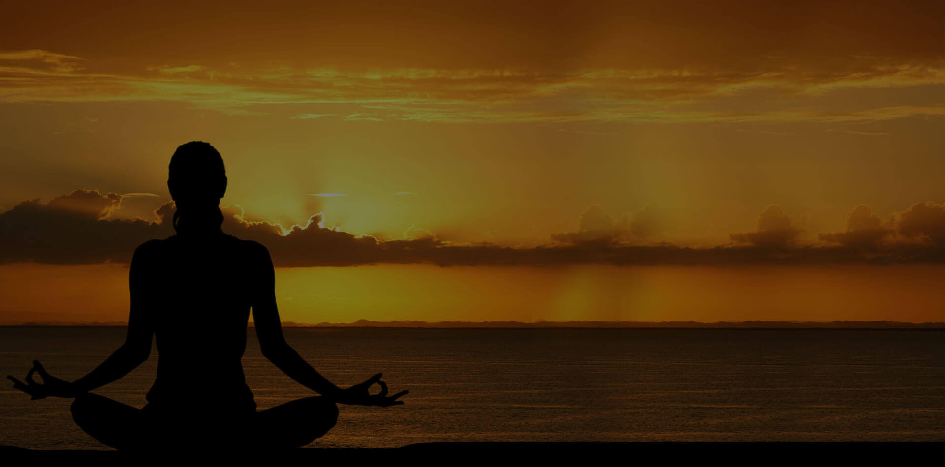 Image with missing alt attribute found on theayurvedaexperience.com