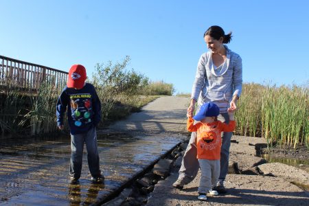 Image with missing alt attribute found on ljworld.com