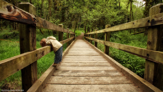 Image with missing alt attribute found on on1.com