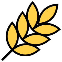 Image with missing alt attribute found on supercook.com