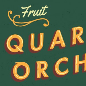 Image with missing alt attribute found on gomedia.us