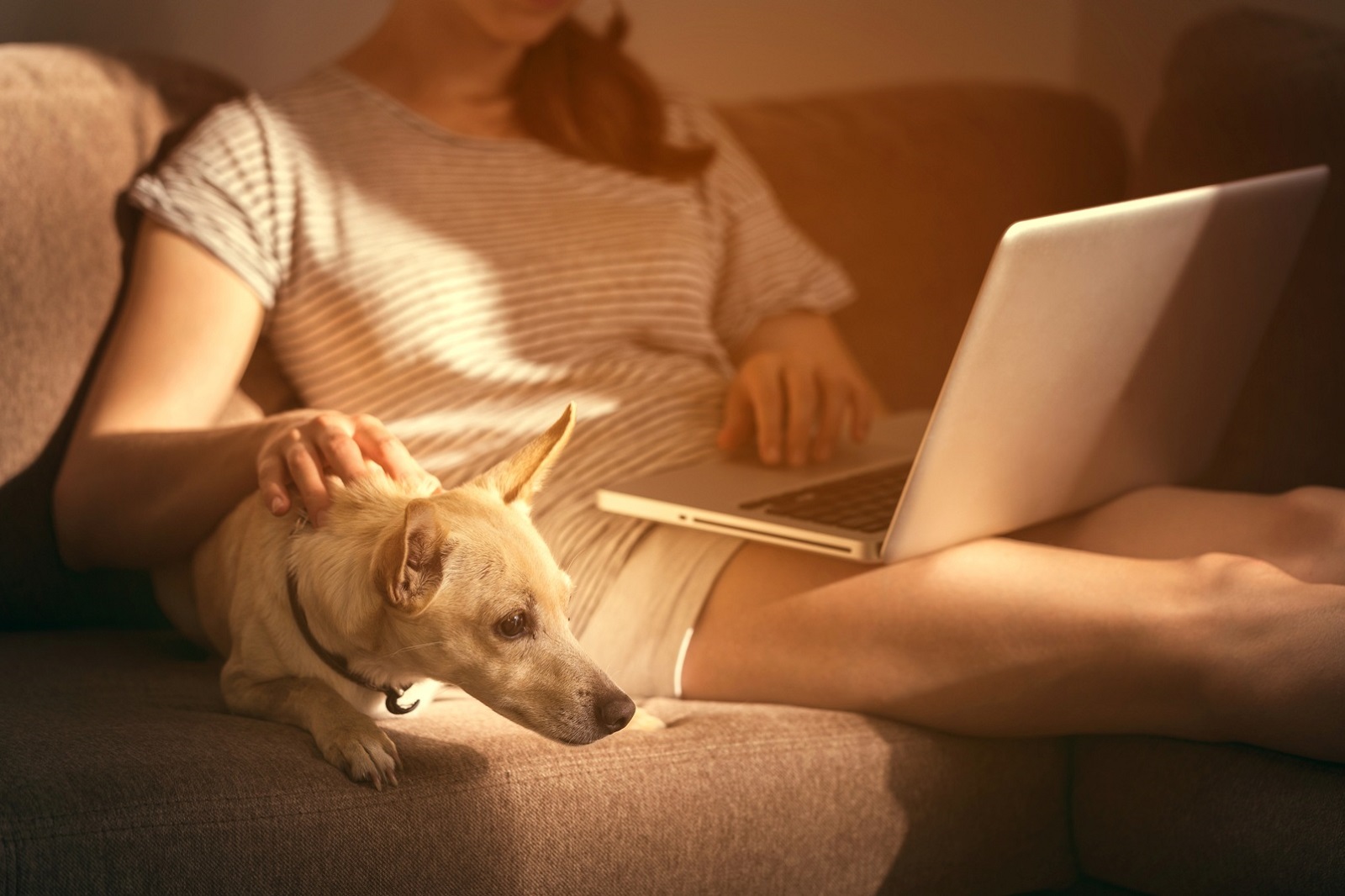 Image with missing alt attribute found on estranky.cz