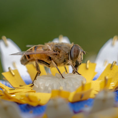 Image with missing alt attribute found on core77.com