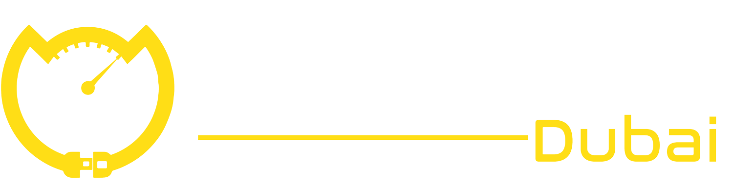 Safe Driver Dubai