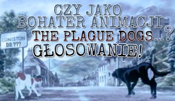 Image with missing alt attribute found on samequizy.pl