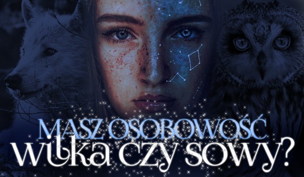 Image with missing alt attribute found on samequizy.pl