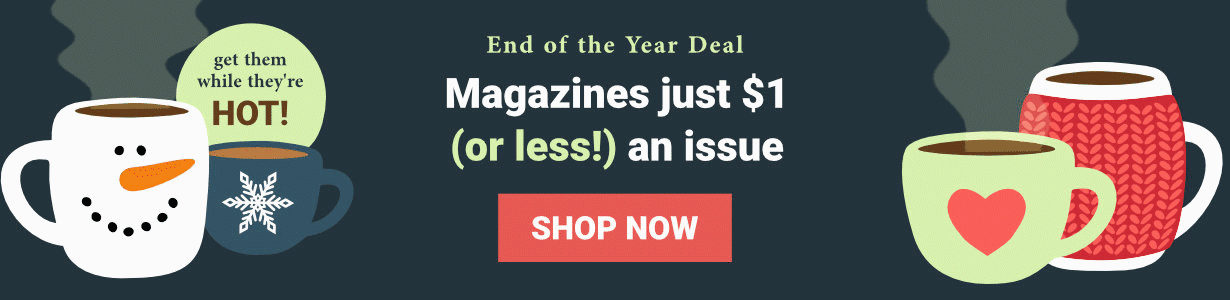 Image with missing alt attribute found on magazines.com