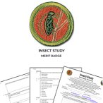 Insect Study Merit Badge