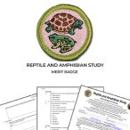 Reptile and Amphibian Study Merit Badge