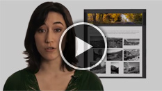 Image with missing alt attribute found on fatcow.com