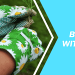 Easy-to-grow flower seeds for beginners Top Easy Grow Flowers