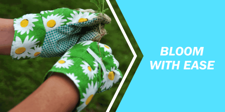 Easy-to-grow flower seeds for beginners Top Easy Grow Flowers