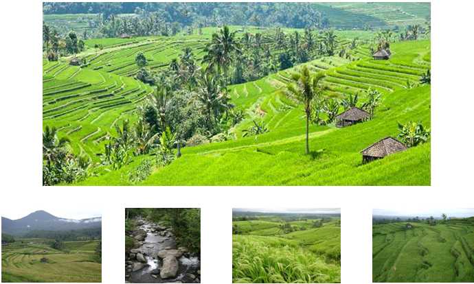 Image with missing alt attribute found on leobalidriver.com