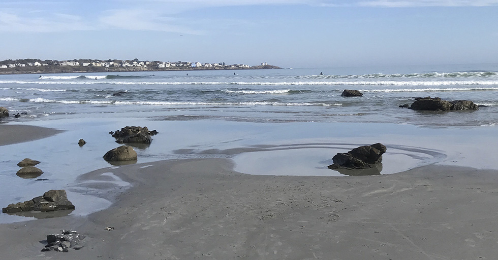 Image with missing alt attribute found on shipmangoodwin.com