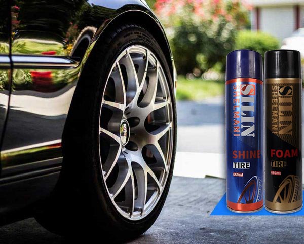 Image with missing alt attribute found on silin.ir