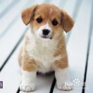 Image with missing alt attribute found on open-open.com