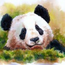 Image with missing alt attribute found on open-open.com