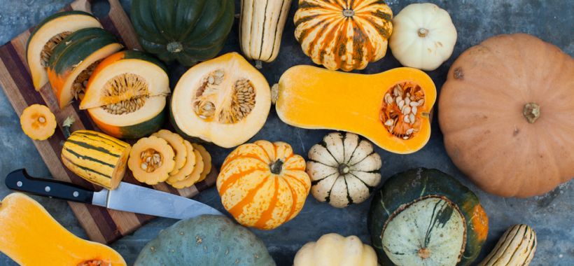 Image with missing alt attribute found on simplebites.net