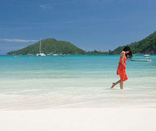 Image with missing alt attribute found on skywings.co.in