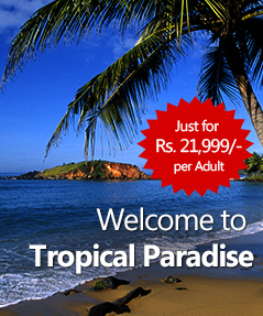 Image with missing alt attribute found on skywings.co.in