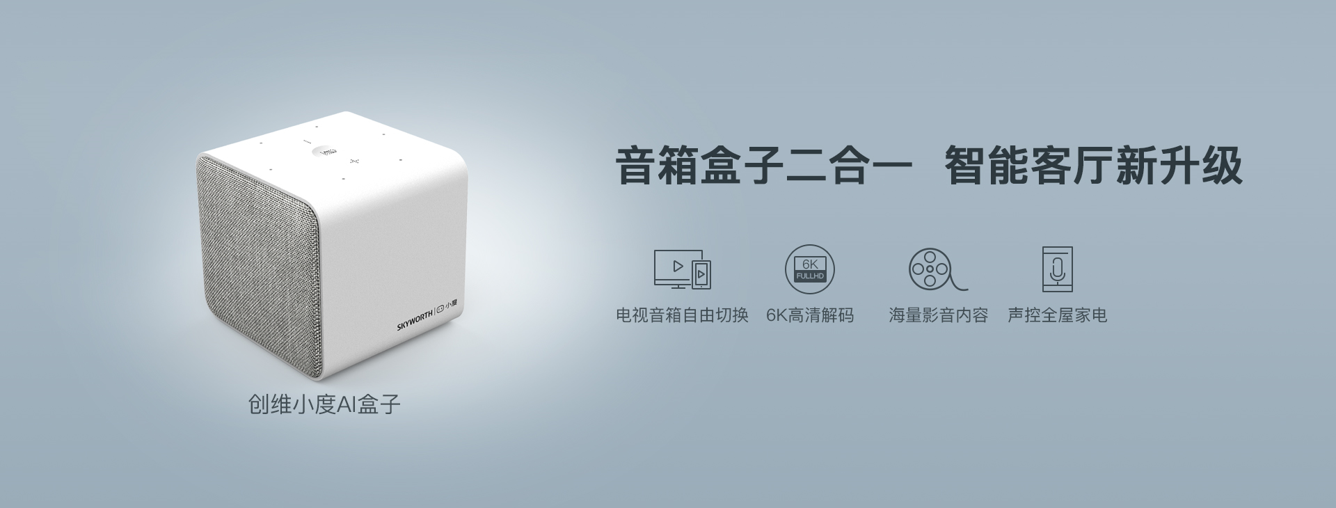 Image with missing alt attribute found on skyworthdigital.com