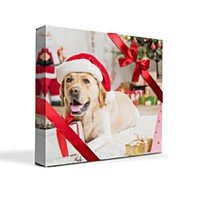 Image with missing alt attribute found on slickdeals.net