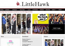 Image with missing alt attribute found on snosites.com