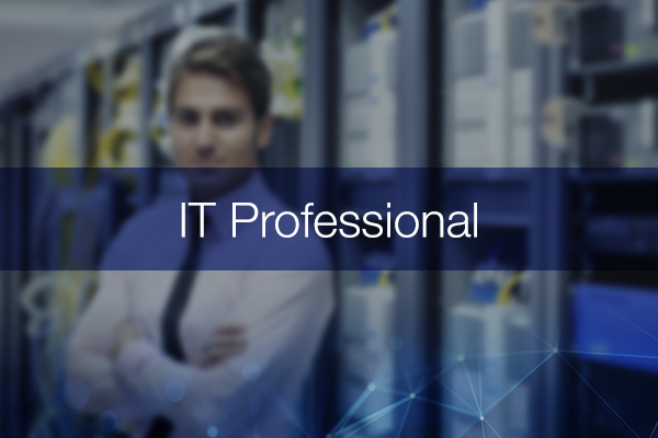 IT Professional