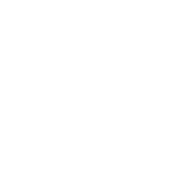 Image with missing alt attribute found on sostraveltoindia.com