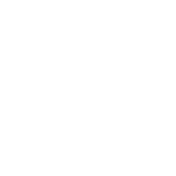 Image with missing alt attribute found on sostraveltoindia.com