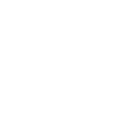 Image with missing alt attribute found on sostraveltoindia.com