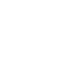 Image with missing alt attribute found on sostraveltoindia.com