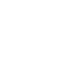 Image with missing alt attribute found on sostraveltoindia.com