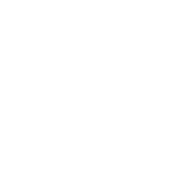 Image with missing alt attribute found on sostraveltoindia.com