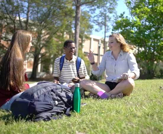 South: An Inside Look Homepage