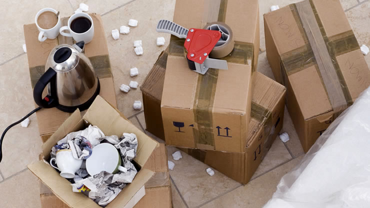 Image with missing alt attribute found on spectruminc.com