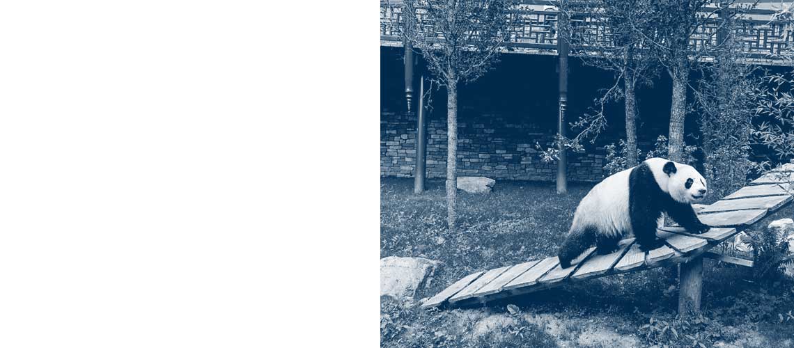 Image with missing alt attribute found on mailplus.nl