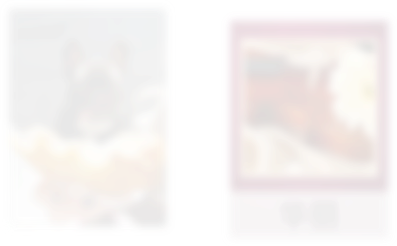 Image with missing alt attribute found on meipian.cn