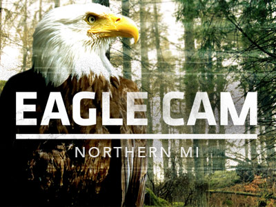 Image with missing alt attribute found on carbontv.com