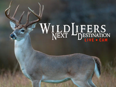 Image with missing alt attribute found on carbontv.com