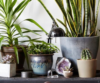 Image with missing alt attribute found on houzz.dk