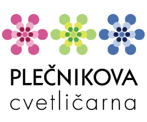 Image with missing alt attribute found on sta.si