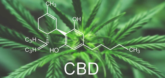 Image with missing alt attribute found on staceychemsales.com