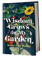 Image with missing alt attribute found on starbookwriting.com