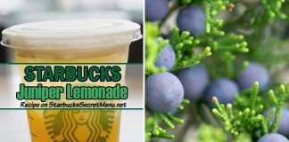 Image with missing alt attribute found on starbuckssecretmenu.net