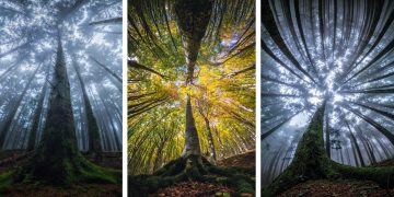 Image with missing alt attribute found on artfido.com