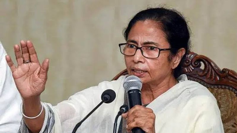 mamta banarjee calls for conducting  referendum in citizenship amendment act