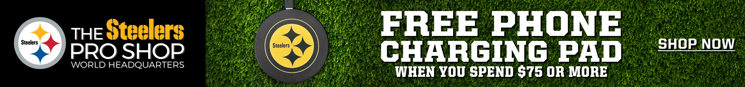 Image with missing alt attribute found on steelers.com