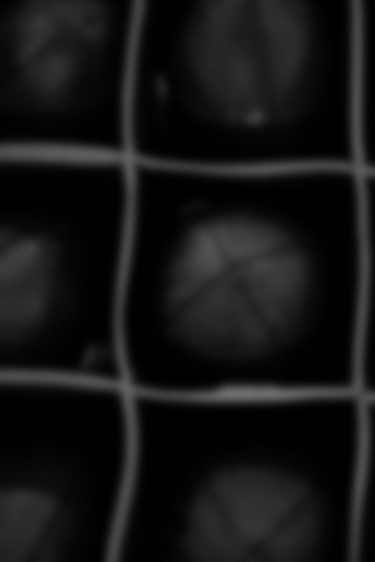 Image with missing alt attribute found on pckrs.com